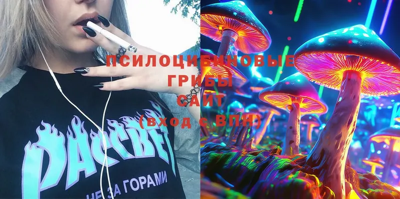 Галлюциногенные грибы MAGIC MUSHROOMS  ссылка на мегу ТОР  Большой Камень 